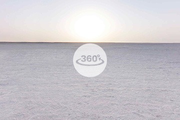 White rann