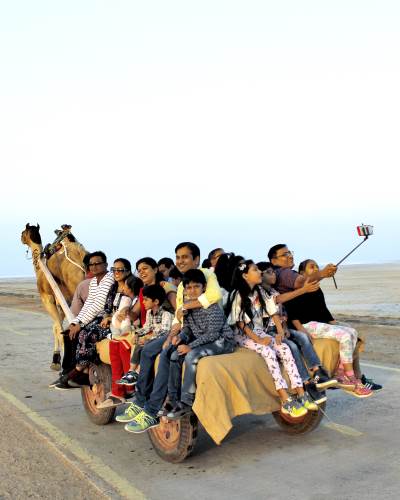rann utsav visitors