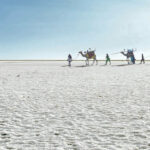 Things to Do at Rann Utsav-The Tent City